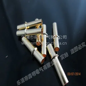 供应温州生产厂家专业加工灯脚铜针 现货日光灯头铜针 日光灯插针