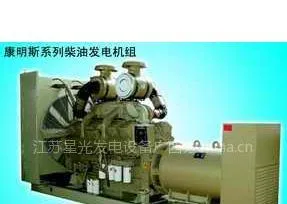 供应康明斯发电机组