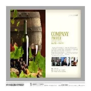 供应成都品牌策划推广,成都画册包装设计,思美LOGO设计