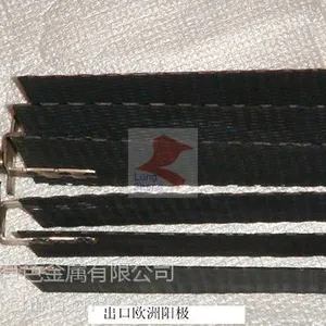供应泳池水消毒用钛阳极