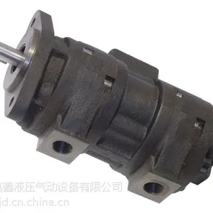 CBGF1032/1025 CBGF1040/1025 CBG2080/2063双联齿轮油泵