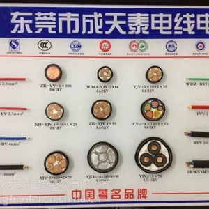 供应东莞成天泰电缆厂家公司电线电缆***经销商合作区域代理