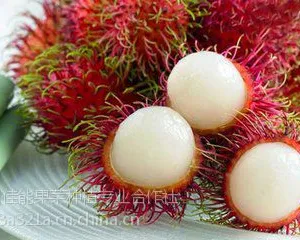海南红毛丹价格