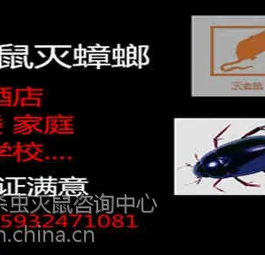 邯郸专业灭蟑螂公司|邯郸专业灭老鼠|邯郸灭鼠公司|曲周灭鼠公司|曲周灭蟑螂