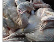 销售烤火鸡