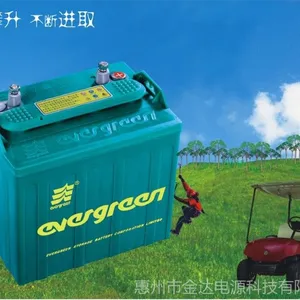 惠州现货供应观光车巡逻车游览车高尔夫车6V蓄电池48V电瓶