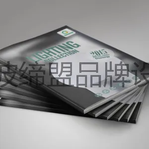 宁波LED照明产品样本设计 灯具画册设计 LED筒灯宣传册设计
