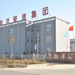 沧州渤洋管道设备制造有限公司