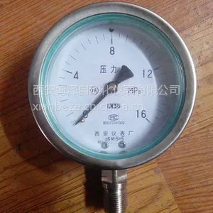 ����ʽѹ������YTFN-100���������304����ѹ���������ǡ������ǣ�