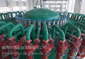 威海海王化工化肥用旋流器