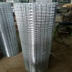 Ĩǽ�纸������ �ֽ�������� ����������