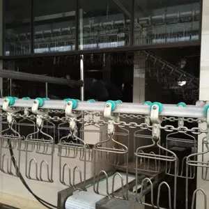 鸭鹅屠宰生产线 宰杀沥血烫毛脱毛掏脏流水线