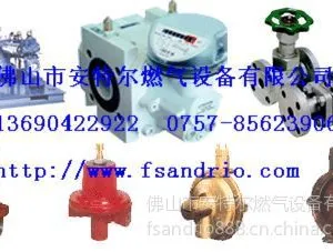 ��Ӧ���ض�ȼ������REGO/FISHERȼ����ѹ��/ȼ���豸13360326736