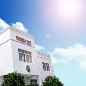 铂锐（上海）汽车科技有限公司