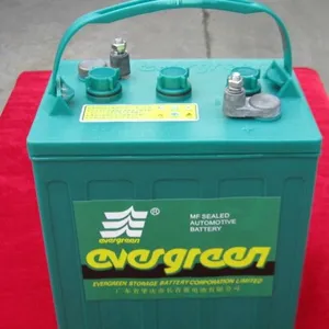 厂家批量供应8V电动高尔夫球车观光浏览车电瓶