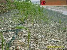 供应新疆石笼网需求量增大