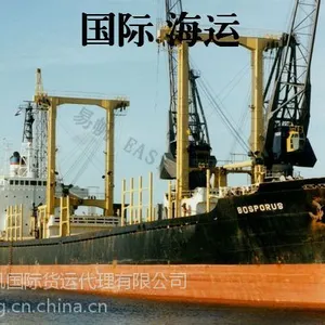 供应东莞至墨西哥MANZANILLO曼萨尼约 海运整柜