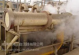 威海海王赤泥分离旋流器