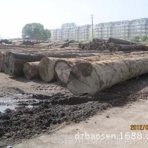 大径云杉进口品质优等 批发各种古建筑用板材 德州宝森 值得信赖