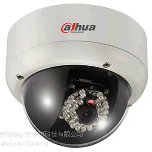 大华DH-IPC-DBW6X5防暴半球网络摄像机 安防监控系统 免费上门