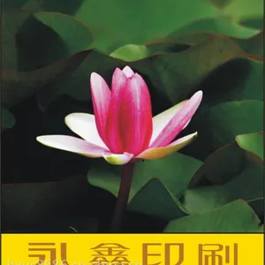 ��Ӧ�����п�ѧ���������� ��ҳӡˢ