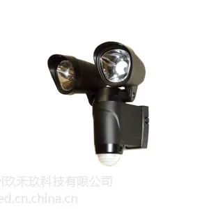 供应感应双头灯