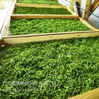 供应高效低噪音智能热泵烘干除湿一体机设备批发