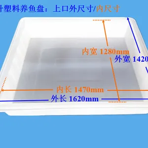 山东600升鱼箱长1.5米*宽1.3米 山东塑料养鱼盘全新PE料厂家直销