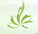 2015广州光合茶文化博览会•光合国际素食展览会