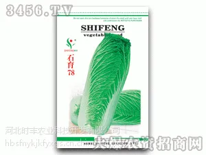 ��Ӧ�ӱ�ʱ��ũҵ�Ƽ��������޹�˾�ײ�����ʯ��2��