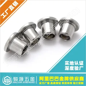 深圳厂家供应GB875扁平头铁铆钉
