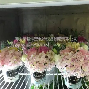 �����ʻ��� �붨�����л���ع� �ʻ�����ô��