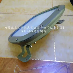 HRD91利雄电器 LED防爆灯80W HRD91