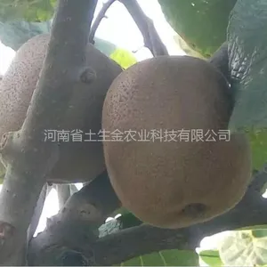 ��������⨺��������2������������ʽ�������⨺�����