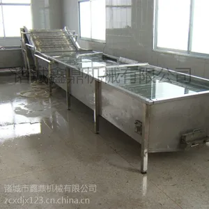 冬瓜清洗机质量可靠 性能强 节能 省时又省力