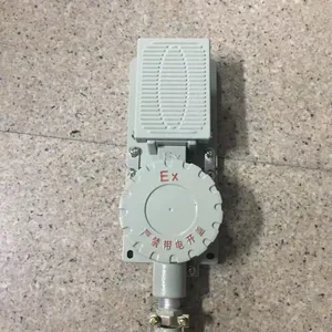 DLXK-DYT系列防爆脚踏开关 单踏双踏防爆开关