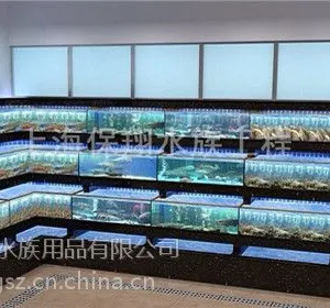 供应海鲜鱼缸|亚克力透明鱼缸|定做亚克力鱼缸