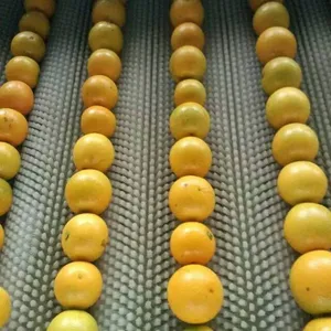 ���ں������˱��ǳȴ���������1.3-1.6Ԫ/��