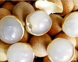 海南水果微商代理、一手货源、质量优、价格低