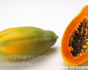海南木瓜价格