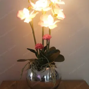 LED盆栽 蝴蝶兰