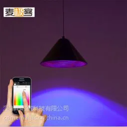 麦极客智能灯 餐厅灯 酒吧灯 西餐厅照明 咖啡厅情调灯 别墅灯