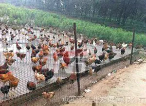贵州博赛元供应养殖场护栏网贵阳圈地农场防护网型号贵州桃型护栏价格