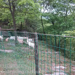 武汉养殖网/黄冈荷兰波浪网/宜昌养鸡养羊网价格
