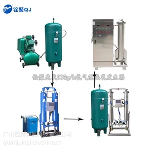 ***废水处理 臭氧发生器 QJ-8008Y 200G