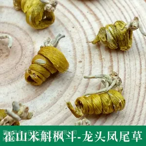 正宗仿野生种植霍山米斛枫斗***凤尾草现货