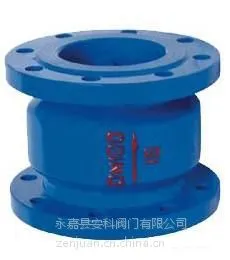 浙江永嘉供应HC41X铸铁消声止回阀