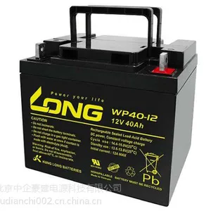 全新LONG广隆WP40-12蓄电池12V40AH规格报价