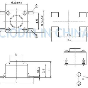 ˶�� DQ 6*6��Ƭ�ᴥ����TS-1102S minfcn