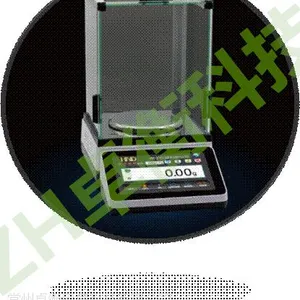 ***产品 MSA无线分体式天平,千分之一、万分之一,1000g、200g